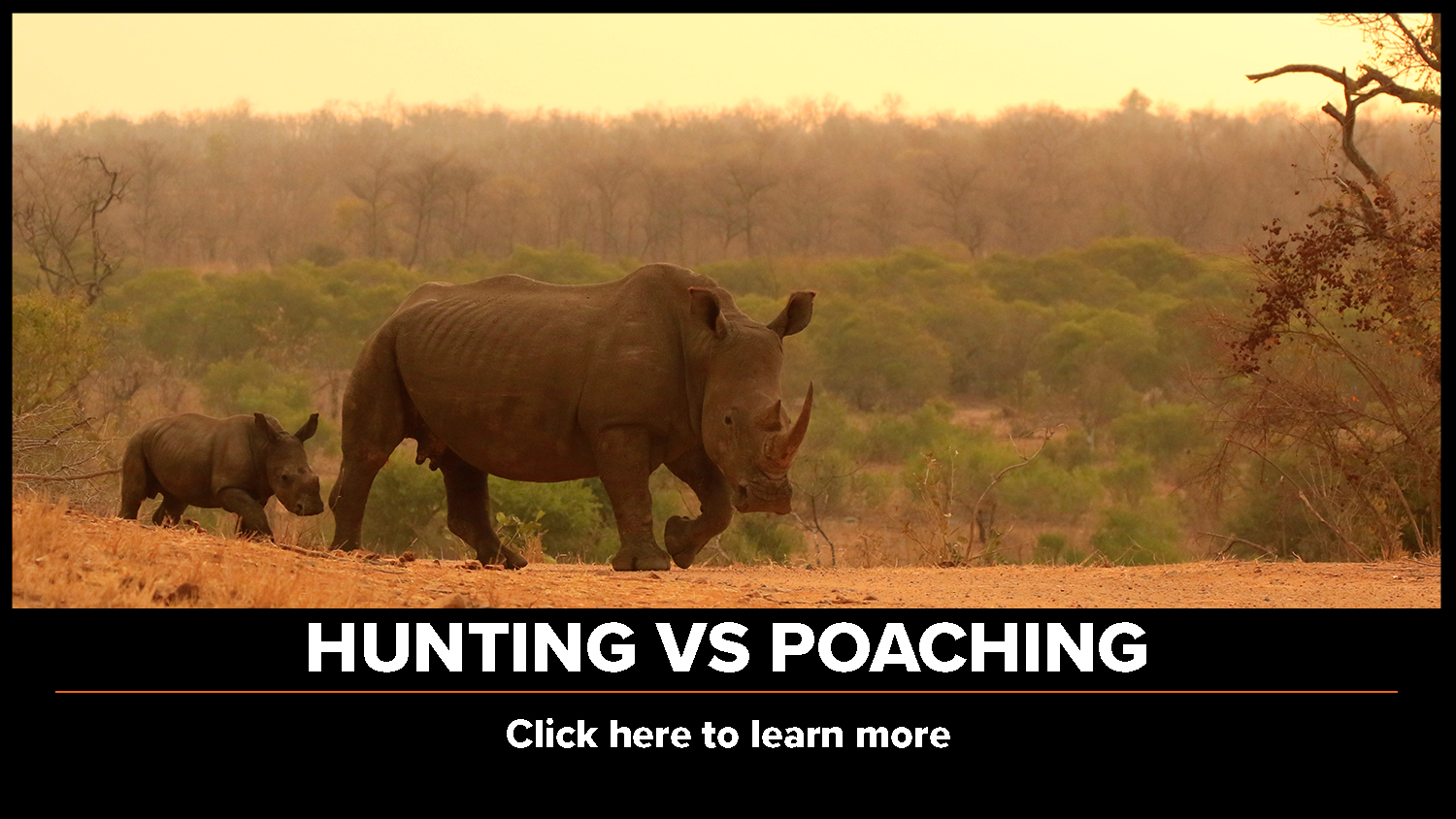 Hunting vs. Poaching